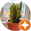 Arturo Arranz profile picture